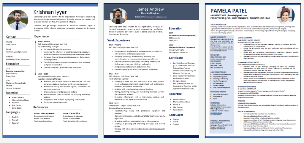 ats-visual-executive-freshers-resume-2