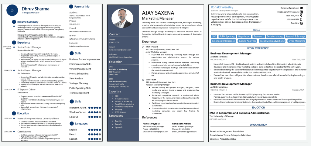 ats-visual-executive-freshers-resume-3